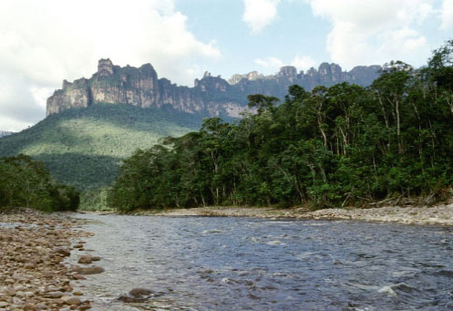 Рыбалка в Бразилии. Притоки реки Амазонка: Павлиний окунь