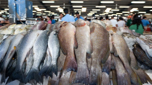 рыба на рынке