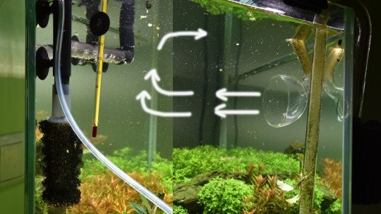 Движение воды в аквариуме